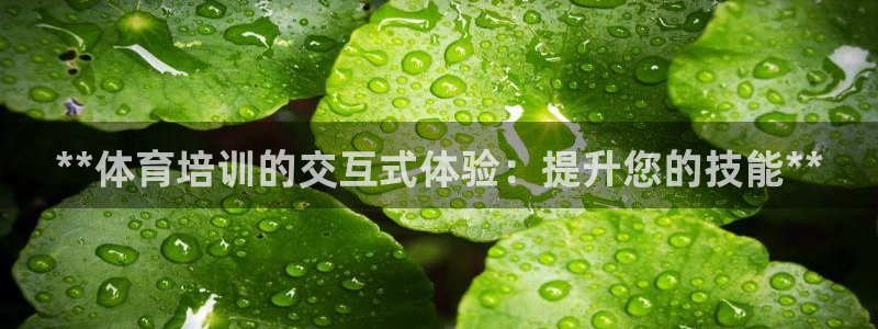 耀世娱乐登录地址在哪查：**体育培训的交互式体验：提