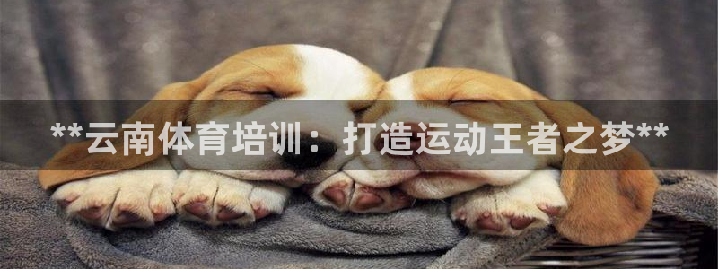 耀世平台必7O777：**云南体育培训：打造运动王者