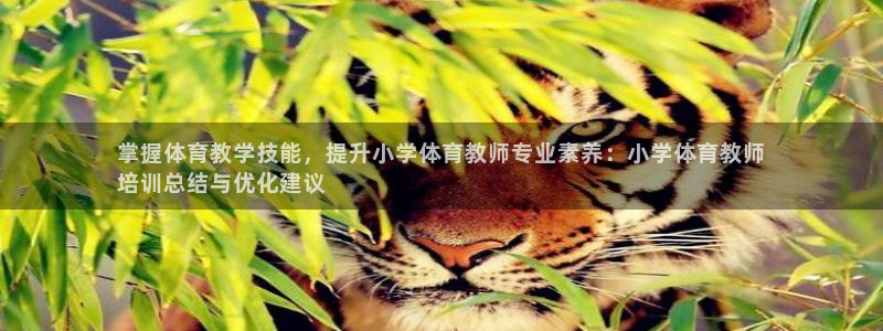 耀世娱乐网址是什么：掌握体育教学技能，提升小学体育教