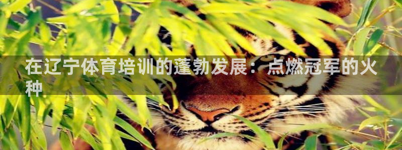 耀世国际平台正规吗可靠吗安全吗：在辽宁体育培训的蓬勃