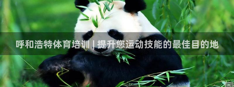 耀世娱乐可以玩吗是真的吗：呼和浩特体育培训 | 提升