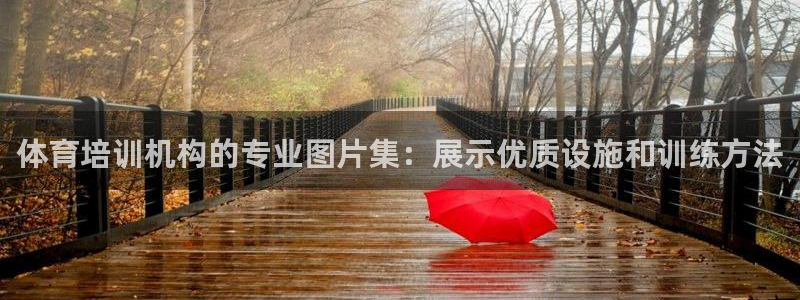 耀世平台注册流程图片：体育培训机构的专业图片集：展示