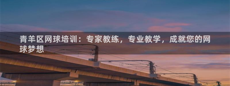 耀世集团视频：青羊区网球培训：专家教练，专业教学，成