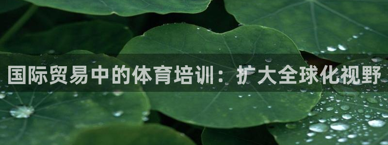 耀世平台代理注册登录失败：国际贸易中的体育培训：扩大