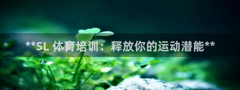 耀世平台最新注册地址在哪：**SL 体育培训：释放你