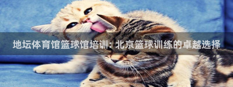 耀世平台将7O777：地坛体育馆篮球馆培训: 北京篮