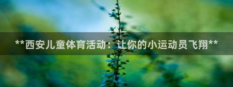 耀世平台客服24小时在线咨询