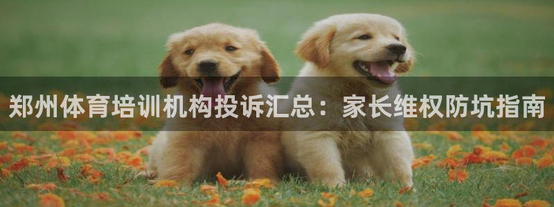 耀世娱乐平台注册登录失败：郑州体育培训机构投诉汇总：