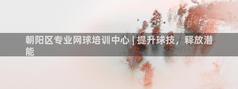 耀世娱乐平台官网：朝阳区专业网球培训中心 | 提升球