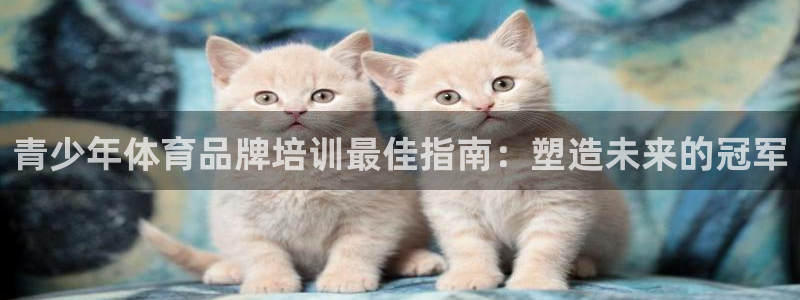 耀世娱乐注册入口：青少年体育品牌培训最佳指南：塑造未