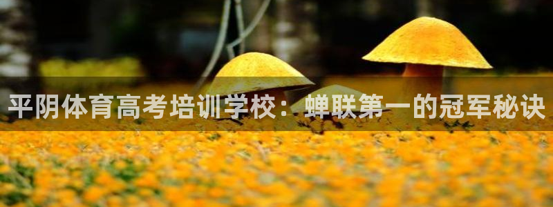 耀世娱乐是玛雅旗下的吗知乎：平阴体育高考培训学校：蝉