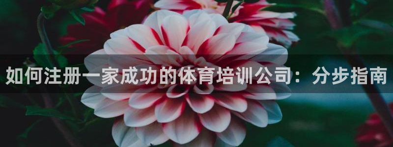 耀世天下图片：如何注册一家成功的体育培训公司：分步指