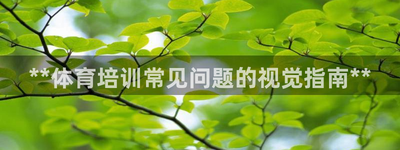 耀世娱乐可以玩吗：**体育培训常见问题的视觉指南**