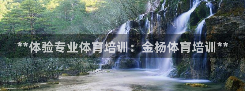 耀世国际平台正规吗可靠吗：**体验专业体育培训：金杨