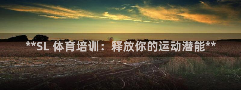 耀世平台代理：**SL 体育培训：释放你的运动潜能*