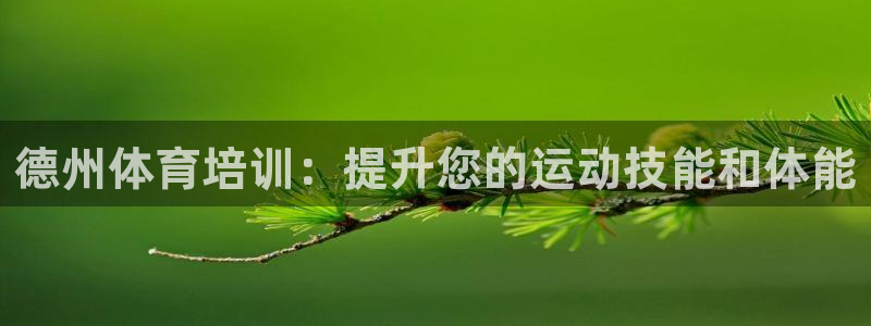 耀世集团董事长儿子：德州体育培训：提升您的运动技能和
