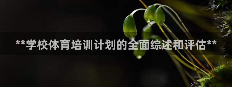 耀世平台的运营模式有哪些：**学校体育培训计划的全面