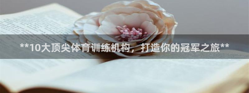 耀世娱乐挂机教程视频：**10大顶尖体育训练机构，打