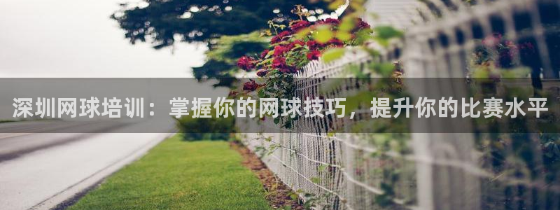 耀世娱乐挂机软件：深圳网球培训：掌握你的网球技巧，提