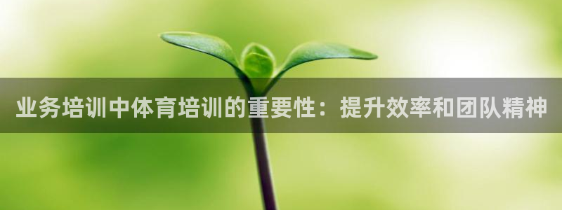 耀世娱乐脚本下载官网：业务培训中体育培训的重要性：提