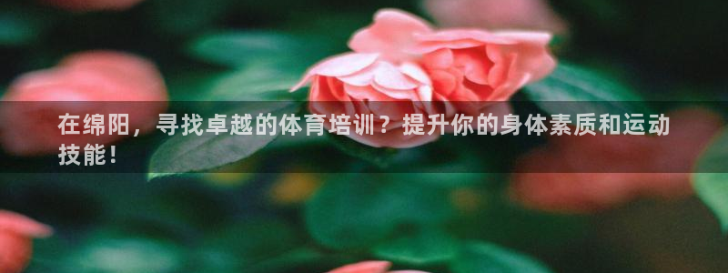 耀世集团做什么的：在绵阳，寻找卓越的体育培训？提升你