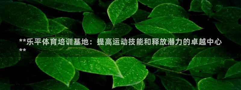 耀世娱乐如何登录平台：**乐平体育培训基地：提高运动
