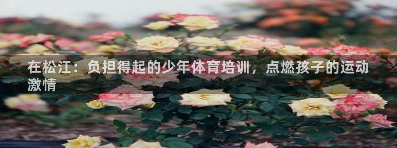 耀世娱乐平台注册地址在哪里找：在松江：负担得起的少年