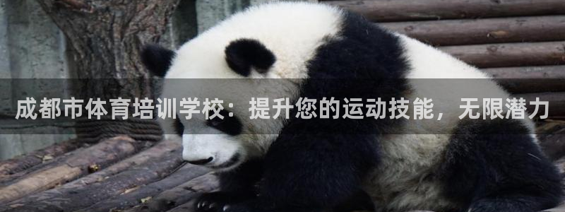 耀世娱乐网站下载：成都市体育培训学校：提升您的运动技