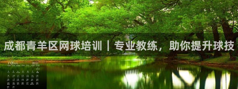 耀世集团商业联盟罗文斌：成都青羊区网球培训｜专业教练