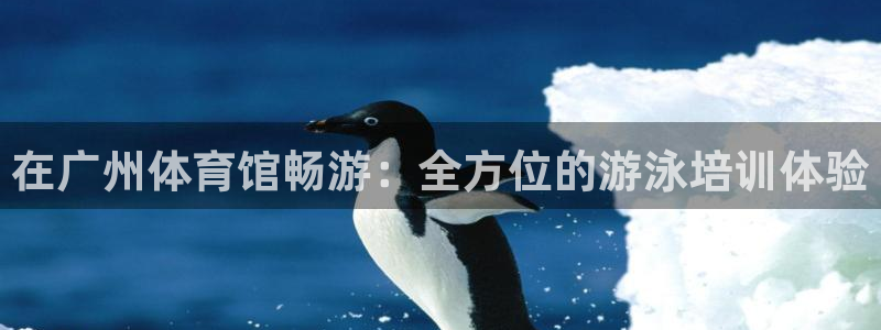 耀世集团视频：在广州体育馆畅游：全方位的游泳培训体验
