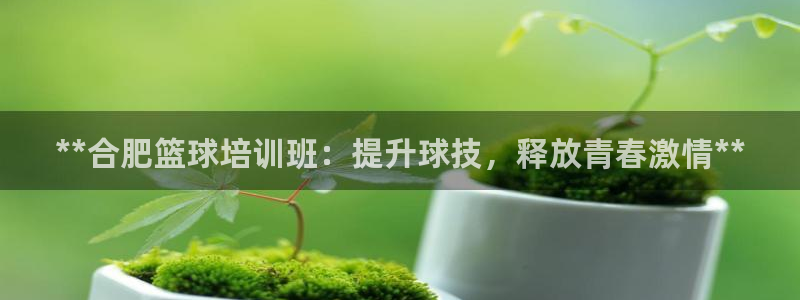 耀世娱乐注册入口官网：**合肥篮球培训班：提升球技，释放青春