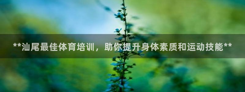 耀世平台产7O777：**汕尾最佳体育培训，助你提升