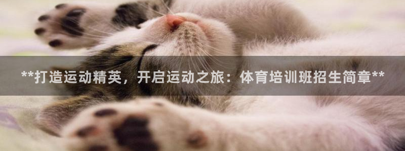 耀世娱乐平台注册地址在哪里找：**打造运动精英，开启