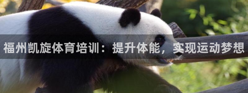 耀世登场一样的词：福州凯旋体育培训：提升体能，实现运