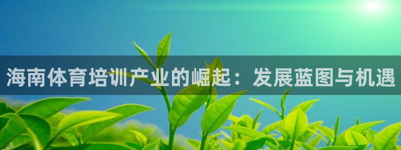耀世集团视频介绍大全：海南体育培训产业的崛起：发展蓝