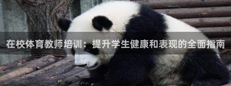 耀世盛典手游：在校体育教师培训：提升学生健康和表现的