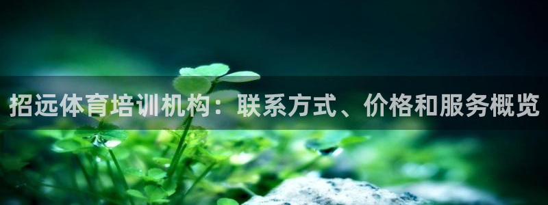 耀世挑战第3关怎么过：招远体育培训机构：联系方式、价