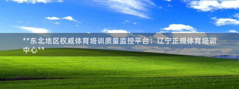 耀世平台的运营模式：**东北地区权威体育培训质量监控
