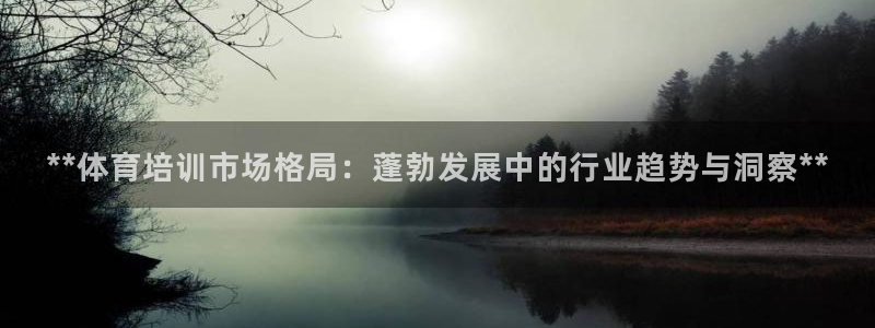 耀世璀璨什么意思：**体育培训市场格局：蓬勃发展中的