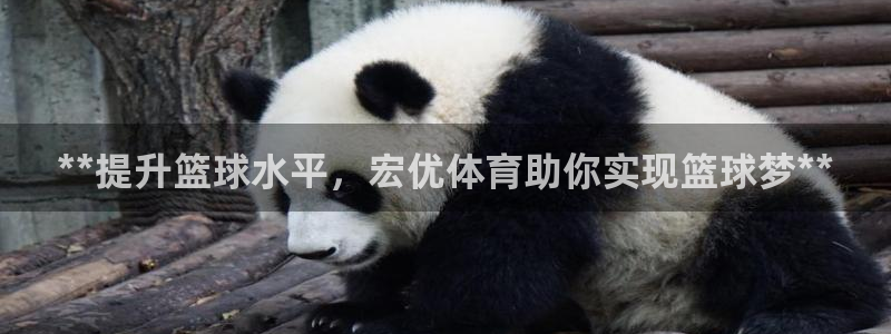 耀世娱乐是个什么平台：**提升篮球水平，宏优体育助你