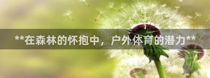 耀世平台：**在森林的怀抱中，户外体育的潜力**