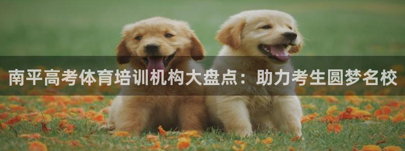 耀世平台皮皮虾怎么样：南平高考体育培训机构大盘点：助