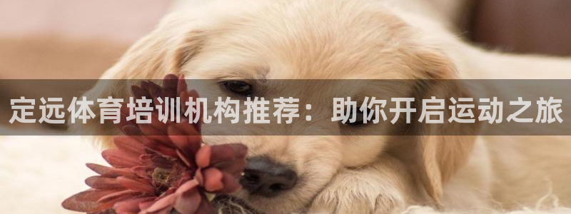 耀世的拼音：定远体育培训机构推荐：助你开启运动之旅
