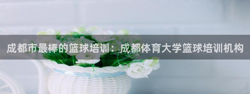 耀世集团耀宗：成都市最棒的篮球培训：成都体育大学篮球培训机构