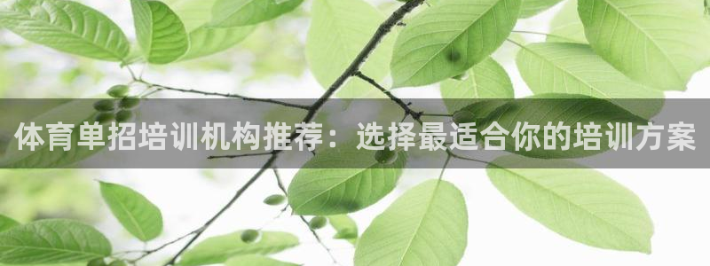 耀世国际集团是国企吗：体育单招培训机构推荐：选择最适合你的培