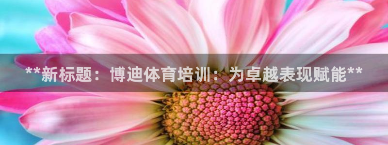耀世娱乐挂机赚钱吗：**新标题：博迪体育培训：为卓越