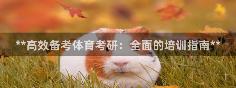 耀世平台代理怎么做的：**高效备考体育考研：全面的培