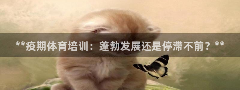 耀世娱乐出款快吗：**疫期体育培训：蓬勃发展还是停滞