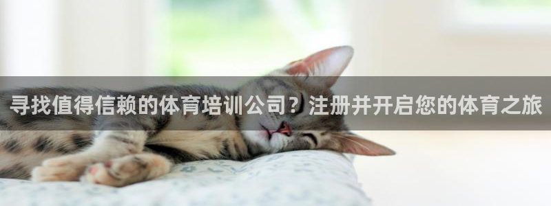 耀世娱乐提款多久到账户：寻找值得信赖的体育培训公司？