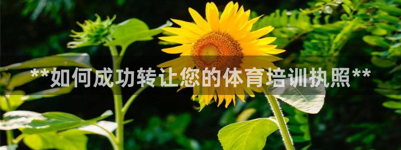 耀世娱乐代理什么待遇：**如何成功转让您的体育培训执